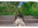 Scenic nature trail with wooden benches and lush foliage at 1855 Bough Ave # B, Clearwater, FL 33760