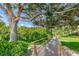Scenic walkway shaded by lush trees and greenery at 1855 Bough Ave # B, Clearwater, FL 33760