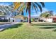House exterior showcasing a lush green lawn and palm trees at 2589 Redwood Cir, Clearwater, FL 33763