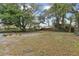 Large backyard with mature trees and space for landscaping at 3020 Deleuil Ave, Tampa, FL 33610