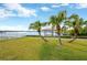 Green grassy backyard with palm trees and waterfront view at 8839 W Millpoint Rd, Riverview, FL 33578