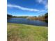 Serene view of a lake and lush landscape at 1112 Lake Shore Ranch Dr, Seffner, FL 33584