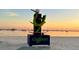 Iconic gecko statue in Gulfport, Florida at sunset at 2900 45Th S St # 22, Gulfport, FL 33711