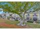 Townhomes' exterior showcasing landscaping and a large tree at 5258 Beach Se Dr, St Petersburg, FL 33705