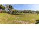 Green grassy backyard with lush trees and a retaining wall at 820 Date Palm Ln, St Petersburg, FL 33707