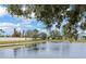 Peaceful pond with lush greenery at 9516 Cypress Harbor Dr, Gibsonton, FL 33534