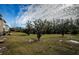 Spacious backyard with lush greenery and trees at 10425 Westpark Preserve Blvd, Tampa, FL 33625