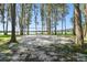 Beach volleyball court nestled amongst trees near a lake at 13833 Vacation Ln, Odessa, FL 33556