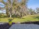 Landscaped backyard with lush trees and grassy area at 3717 Trophy Blvd, New Port Richey, FL 34655