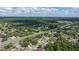 Aerial view of a residential neighborhood with lush greenery and a tranquil lake at 3915 Briarlake Dr, Valrico, FL 33596