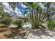 Landscaped backyard with lush tropical plants and a pool at 3915 Briarlake Dr, Valrico, FL 33596