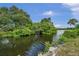 Serene waterfront view with lush vegetation bordering the canal at 4455 Duhme Rd # 305, St Petersburg, FL 33708