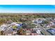 Aerial view of a house and its surrounding lot at 10214 Turtle Hill Ct, Tampa, FL 33615