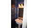 Stylish half-bath features a pedestal sink with a mirrored backsplash and modern sconce lighting at 10611 Fairfield Village Dr, Tampa, FL 33624