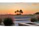 Peaceful beach sunset view with palm trees in the foreground at 11730 Gulf Blvd # 49, St Petersburg, FL 33706