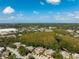 Aerial view of the townhouses and surrounding landscape at 12746 Wood Trail Blvd, Tampa, FL 33625