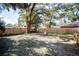 Backyard with large tree and wooden fence at 1913 E Wilder Ave, Tampa, FL 33610