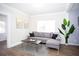 Cozy living room features a gray sofa, modern rug, and indoor plants at 1913 E Wilder Ave, Tampa, FL 33610