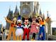 Image of Disney characters in front of Cinderella's castle at 2182 Acadia Greens Dr # 66, Sun City Center, FL 33573