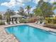 Relaxing community pool with lounge chairs and a shaded area at 2552 Glenrise Pl, Wesley Chapel, FL 33544