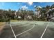 Outdoor basketball court with lines and hoops at 5147 Sterling Manor Dr, Tampa, FL 33647