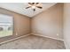 Bright bedroom with carpeted floor and ceiling fan at 6944 Runner Oak Dr, Wesley Chapel, FL 33545