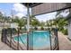 Inviting backyard oasis with a refreshing pool, surrounded by lush landscaping at 1534 Wexford N Dr, Palm Harbor, FL 34683