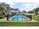 Sparkling pool with safety fence, ideal for summer fun at 1534 Wexford N Dr, Palm Harbor, FL 34683