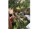 Overgrown backyard with discarded items at 1820 E Sitka St, Tampa, FL 33604