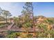 Elevated boardwalk path through lush tropical landscaping at 5400 Park N St # 209, St Petersburg, FL 33709