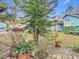 Landscaped front yard with mature trees and plants at 5832 Red Cedar Ln, Tampa, FL 33625