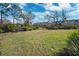 Park with a grassy area and a park bench at 10515 Fenceline Rd, New Port Richey, FL 34655