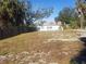 Large backyard with mature trees and partial fence at 1434 Cleveland St # 4, Clearwater, FL 33755