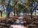 Tree-lined pathway in a neighborhood park at 1434 Cleveland St # 4, Clearwater, FL 33755