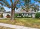 White house with green lawn and large shade tree at 1768 Algonquin Dr, Clearwater, FL 33755