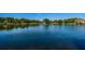 Serene lake with fountain and community views at 1882 Pine Ridge W Way # E1, Palm Harbor, FL 34684