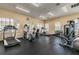 Well-equipped fitness center with various cardio and strength training machines at 20414 Berrywood Ln, Tampa, FL 33647