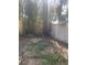 Backyard with bamboo plants and fence at 4034 39Th N Ave, St Petersburg, FL 33714