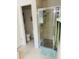 Bathroom with shower, toilet, and vanity at 4209 Amber Ridge Ln, Valrico, FL 33594