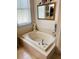 Bathroom with large oval tub and separate shower at 4209 Amber Ridge Ln, Valrico, FL 33594