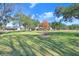 Spacious backyard with large trees and open green space at 6819 Stafford Rd, Plant City, FL 33565