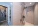 Spa-like shower with double shower heads and modern tile at 7853 Roma Dune Dr, Wesley Chapel, FL 33545