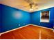 Blue walls and hardwood floors at 1218 Vinetree Dr, Brandon, FL 33510