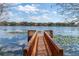 Serene waterfront view with private wooden dock and lush vegetation at 15728 Berea Dr, Odessa, FL 33556