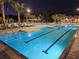Inviting pool area with lounge chairs and palm trees at 16843 Forge Surf St, Land O Lakes, FL 34638