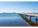 Long pier extending over calm water with birds in the foreground at 3726 Abington S Ave, St Petersburg, FL 33711