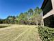 Backyard with screened patio and preserve views at 4899 Isola Ct, Wesley Chapel, FL 33543