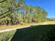 Peaceful backyard with a grassy area and tree line at 4899 Isola Ct, Wesley Chapel, FL 33543