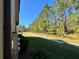 Backyard view, grassy area, and trees at 4899 Isola Ct, Wesley Chapel, FL 33543