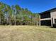 Spacious backyard with grassy area and tree line at 4899 Isola Ct, Wesley Chapel, FL 33543